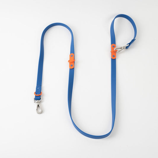 Approved by Fritz Blue Red Leash
