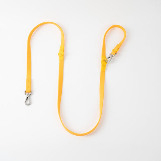 Approved by Fritz Orange Mango Leash