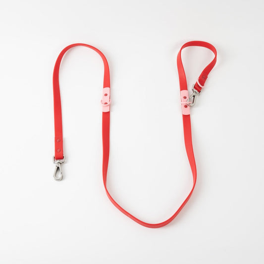Approved by Fritz Cherry Leash