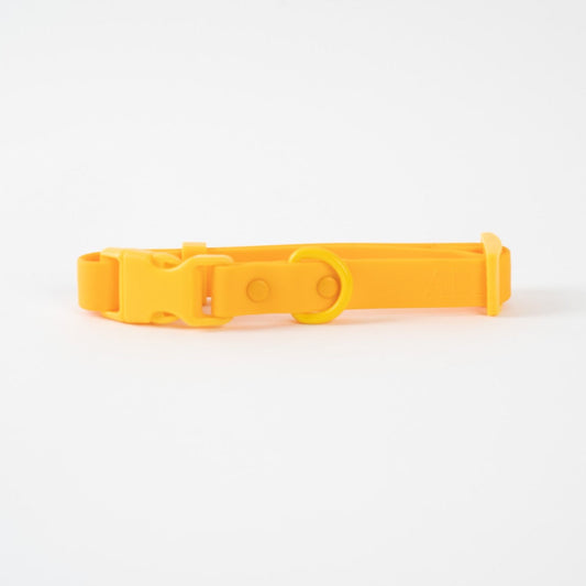 Approved by Fritz Orange Mango Collar