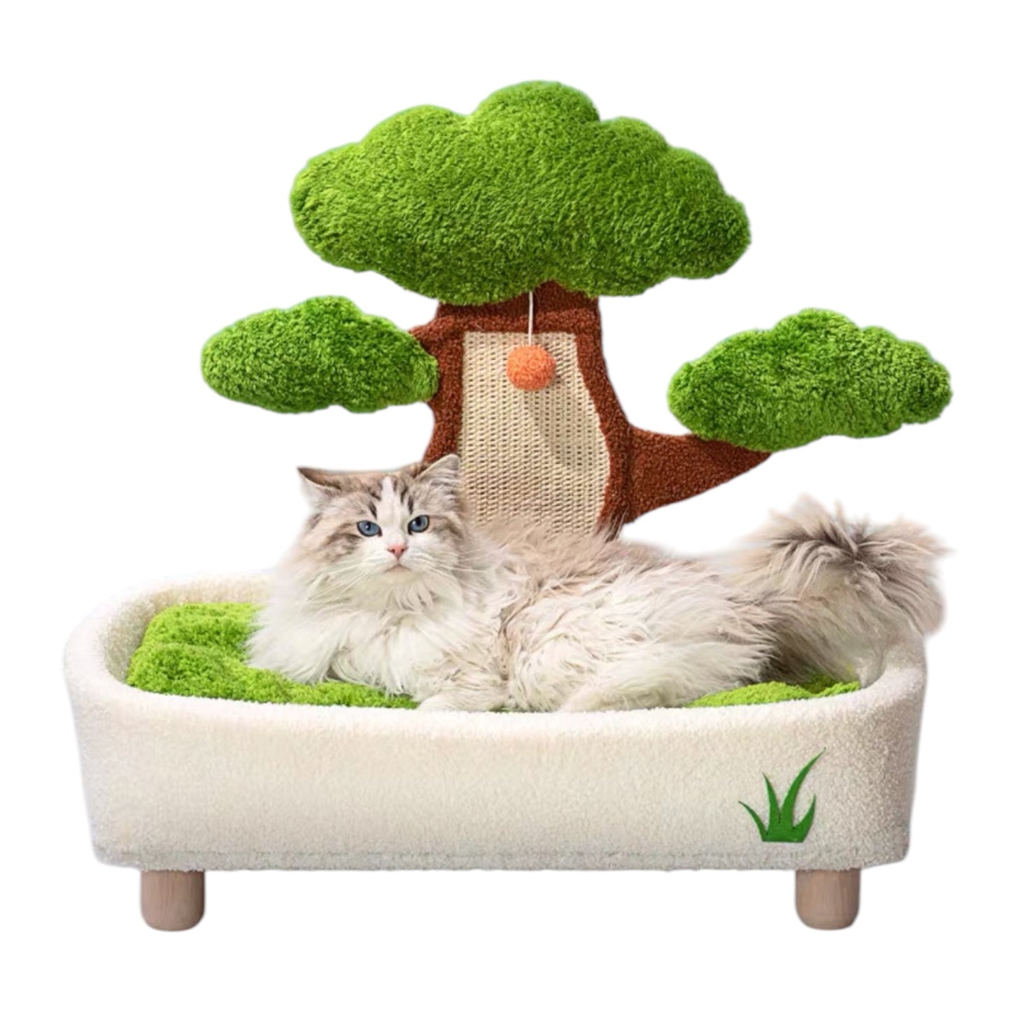 Kitty Cat Soft Bed & Scratcher