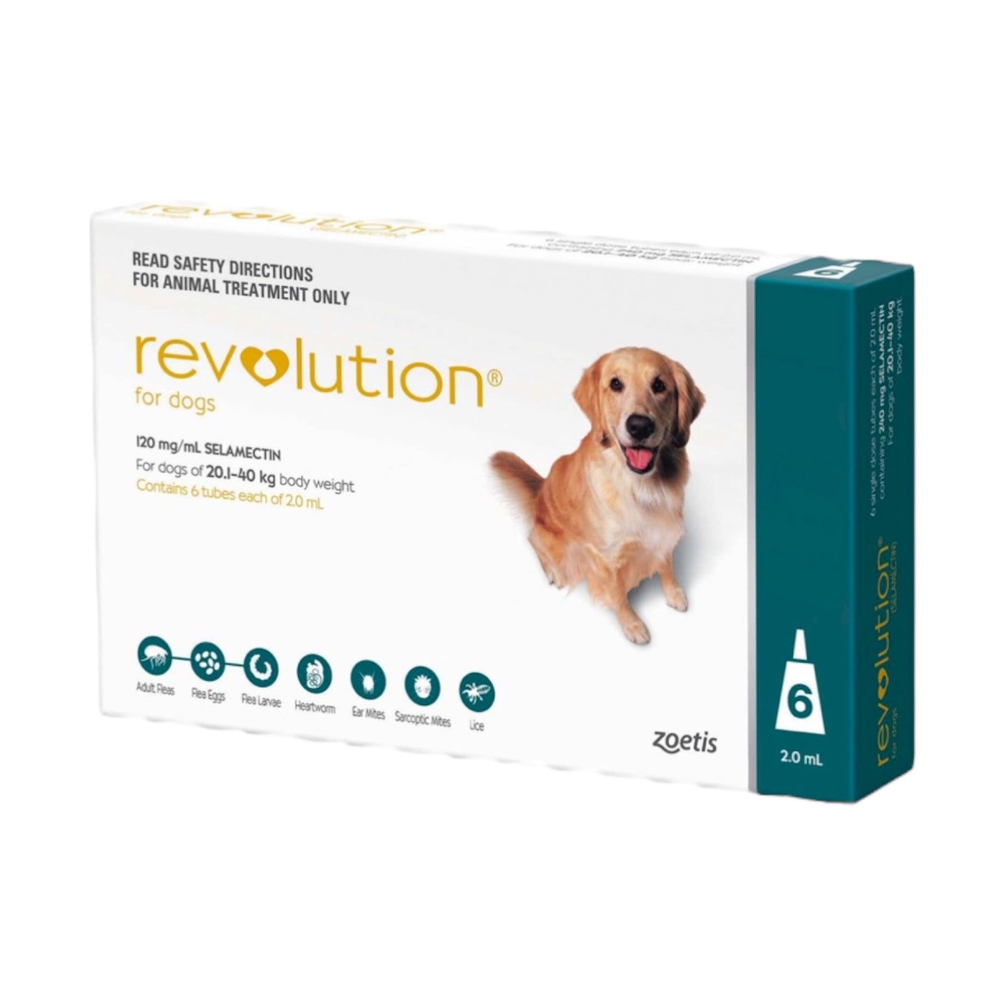 Revolution 240mg Dog (Teal) for 20.1-40kg