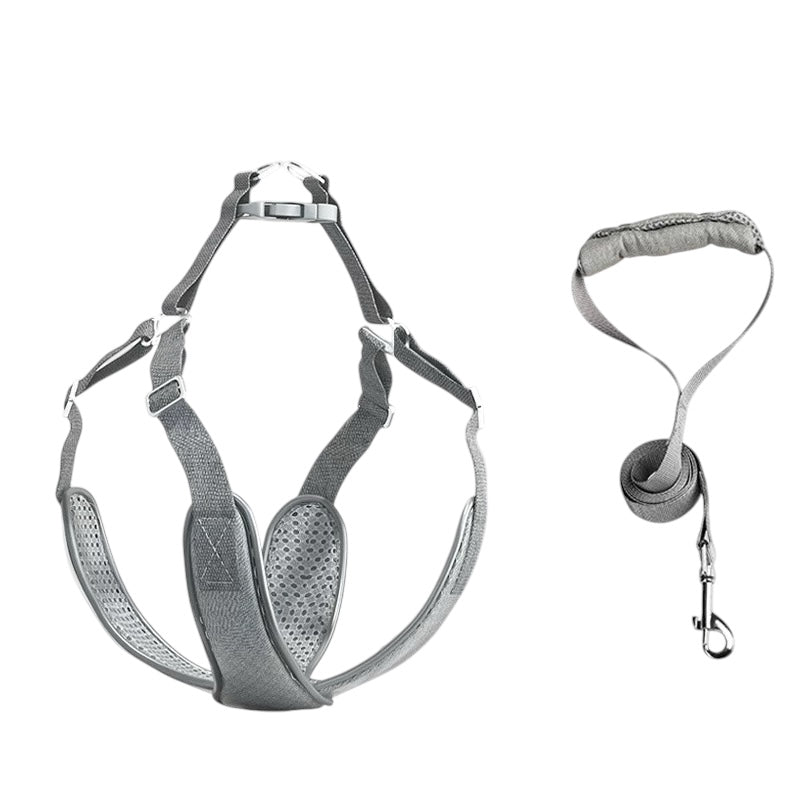 Popocola Pet Harness and Leash Set